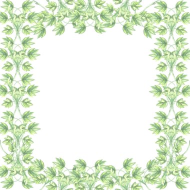 Beyaz arkaplan liana dalında suluboya resim yeşil yaprakların çerçeve karesi