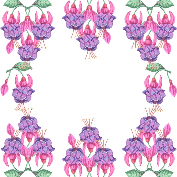 Beyaz bir arkaplan çerçeve infloresans bitki üzerinde resimli fuşya parlak çiçek suluboya