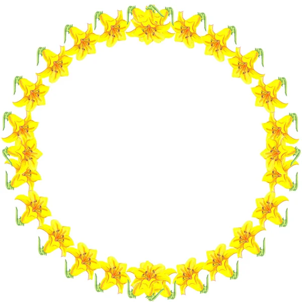 Στρογγυλό Πλαίσιο Ακουαρέλα Λευκό Φόντο Κίτρινο Κρίνο Φωτεινό Λουλούδι Ομορφιά — Φωτογραφία Αρχείου