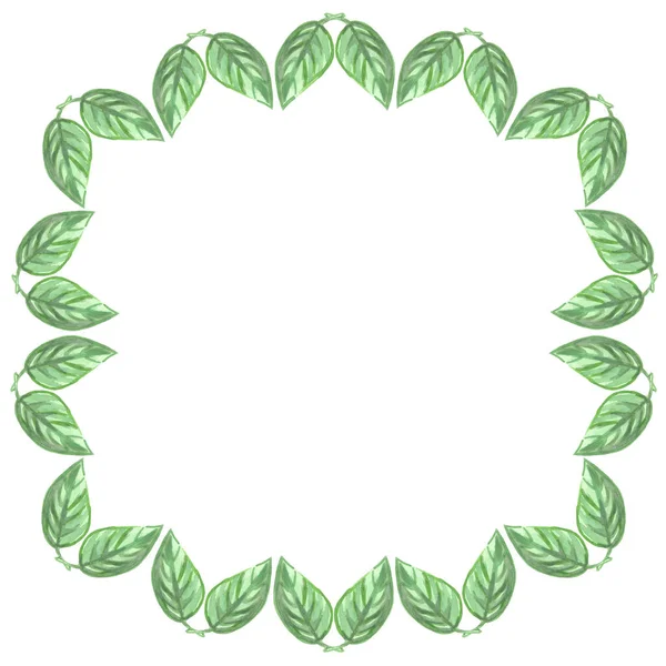 Beyaz arka planda suluboya güzel yeşil yapraklar yuvarlak çerçeve