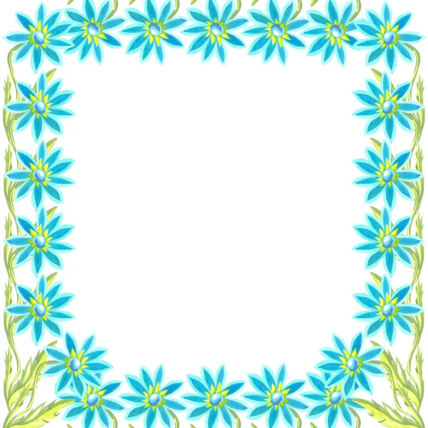 parlak mavi papatyalar çerçeve çevresi suluboya beyaz arka plan çiçekleri