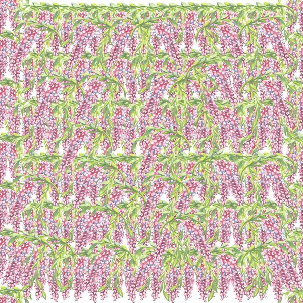 Beyaz arkaplanda suluboya kırmızı püsküllü püskülsüz çiçek deseni