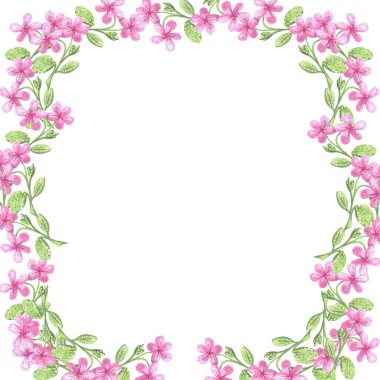 Beyaz arkaplanda yumuşak pembe suluboya çiçeklerin resimli çerçevesi