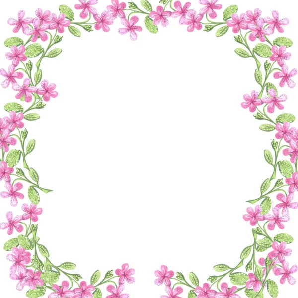 Beyaz arkaplanda yumuşak pembe suluboya çiçeklerin resimli çerçevesi