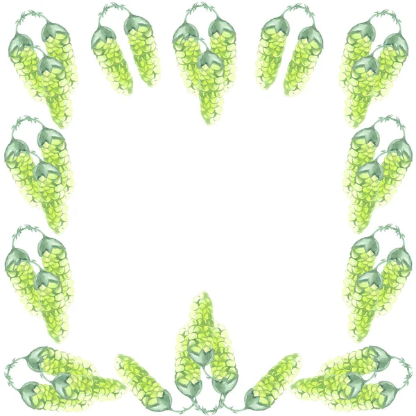 Beyaz zemin üzerinde suluboya Liana kare çerçeve yeşil desen sekmeleri