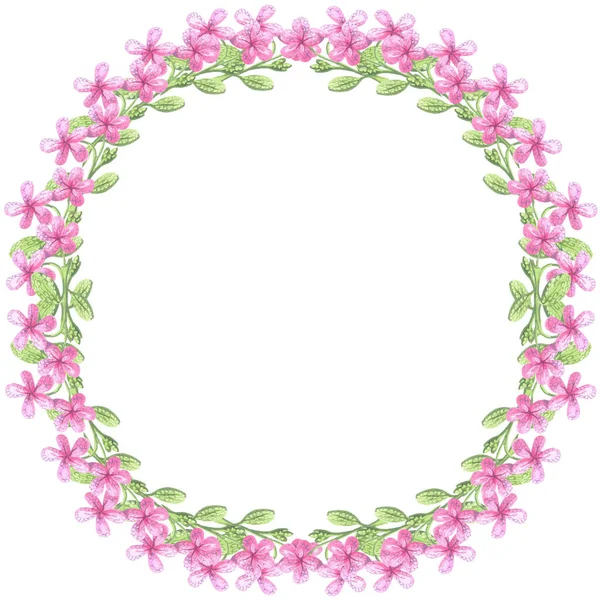 Çerçeve yuvarlak çiçekler pembe yapraklar yeşil suluboya beyaz arkaplan çizimi