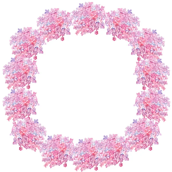Акварель Белом Фоне Гортензии Розовый Цветок Рамка Круглый Рисунок Картины — стоковое фото