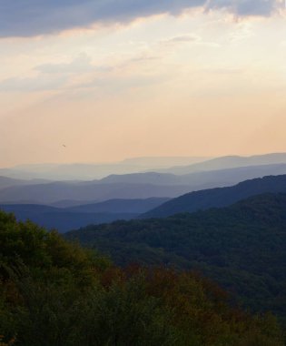 güzel bir sabah sis tepeler arasındaki bir vadi manzarası