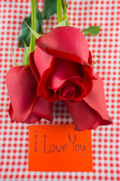 Rose rouge avec carte de message Image de Saint Valentin — Photo