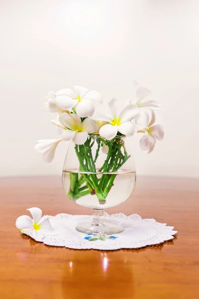 Still life with white spring summer flowers — Stock Photo, Image