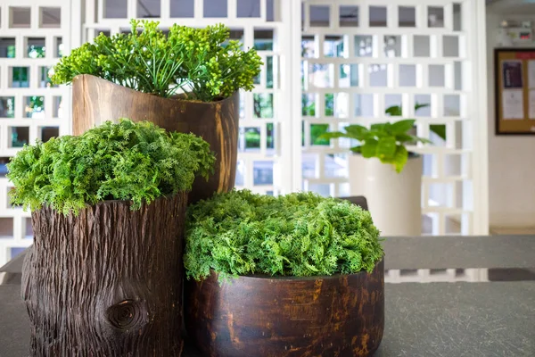 stock image White empty room with a green plant wall mockup