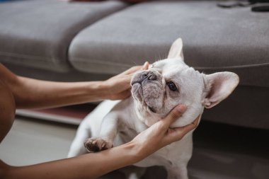 Küçük Fransız gülüşü ve kameraya bak.