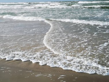 Baltık Denizi 'nde fırtına, kumlu sahil, berrak gökyüzü, bükülmüş dalgalar.