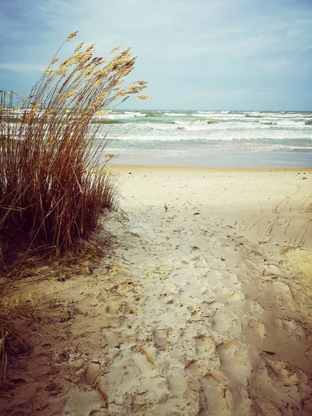 Burza Morzu Bałtyckim Piaszczyste Wybrzeże Czyste Niebo Zgięte Fale — Zdjęcie stockowe