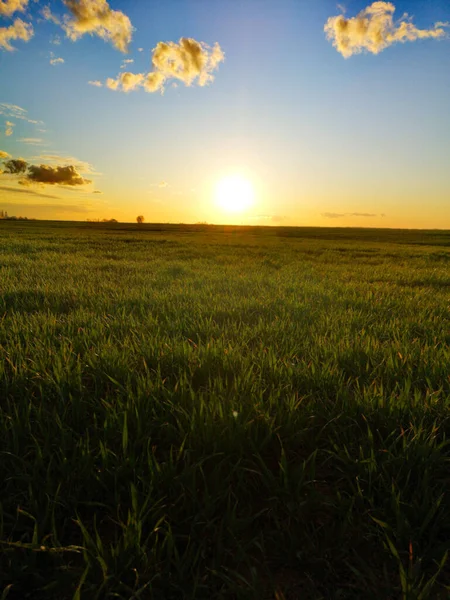 Piękny Zachód Słońca Polach Wiosennych — Zdjęcie stockowe
