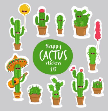 funny cactus plants