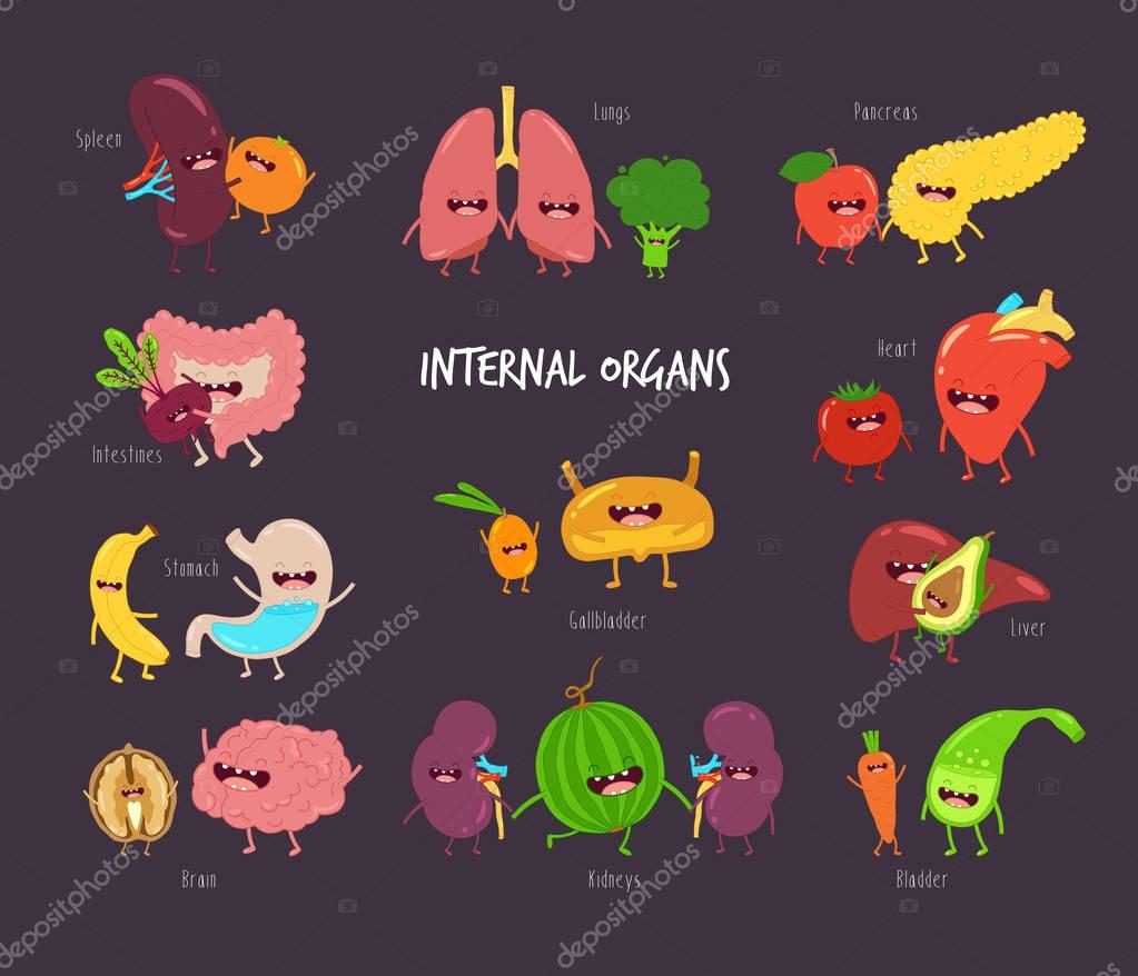Funny illustration with cartoon characters of healthy internal organs