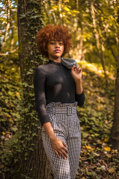 Elegante Joven Atractiva Mujer Afroamericana Posando Parque — Foto de Stock