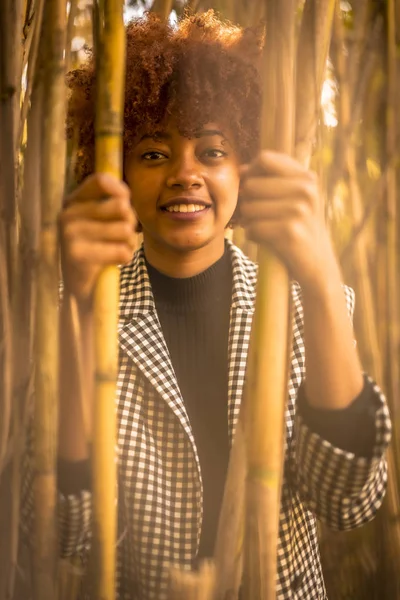 Jeune Femme Américaine Africaine Attrayante Cachant Dans Bambou — Photo