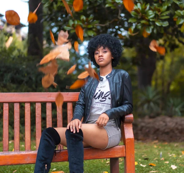 Stylish Young Attractive African American Woman Sitting Bench Park — 스톡 사진