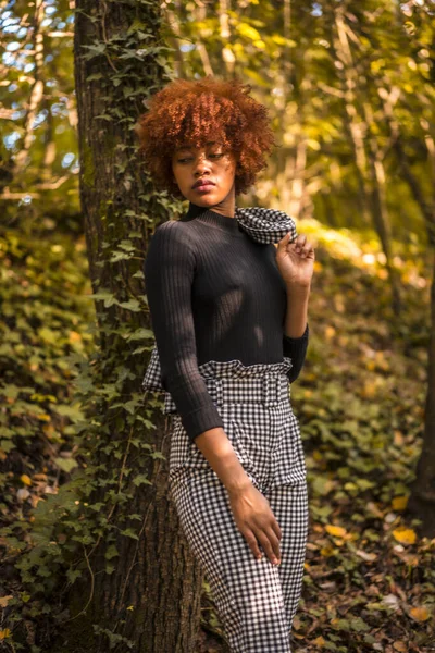 Elegante Joven Atractiva Mujer Afroamericana Posando Parque — Foto de Stock