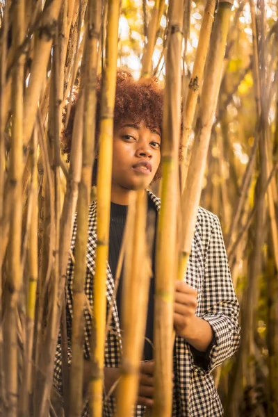 Jeune Femme Américaine Africaine Attrayante Cachant Dans Bambou — Photo