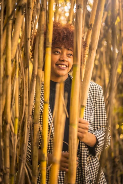 Jeune Femme Américaine Africaine Attrayante Cachant Dans Bambou — Photo