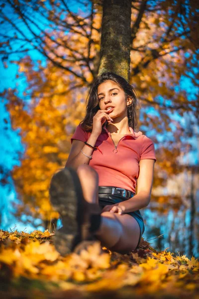 Tramonto Ritratto Bella Giovane Donna Nel Parco Autunnale — Foto Stock