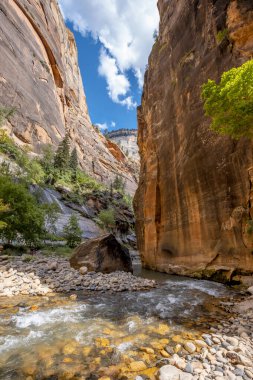 Utah, ABD 'deki Zion Ulusal Parkı' ndaki akarsu ve kayaların inanılmaz manzarası. 