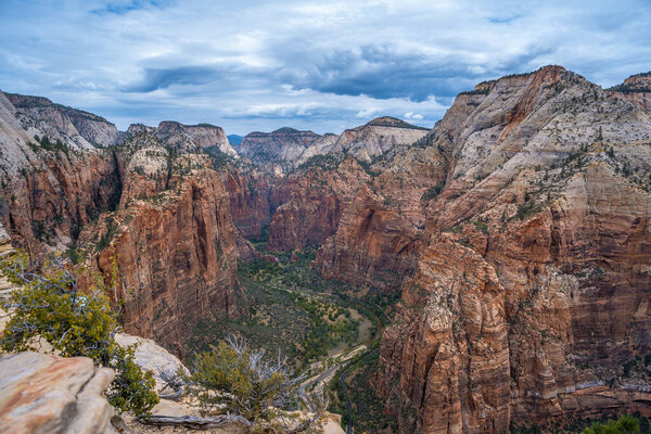 изумительный вид на скалы в национальном парке Зайон, штат Юта, США
 