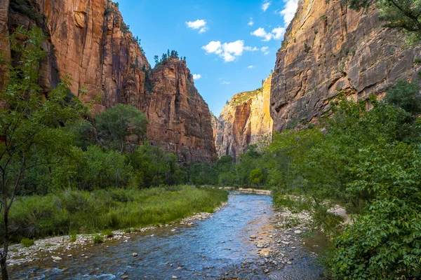 Incrível Vista Córrego Das Rochas Parque Nacional Zion Utah Estados — Fotografia de Stock