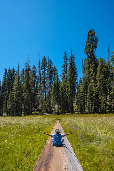 Mužský Turista Národním Parku Sequoia Krásné Sekvoje Kalifornie Spojené Státy — Stock fotografie