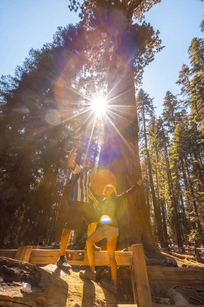 Man Woman Posing Big Tree Trunk Sequoia National Park Beautiful — Stock Photo, Image