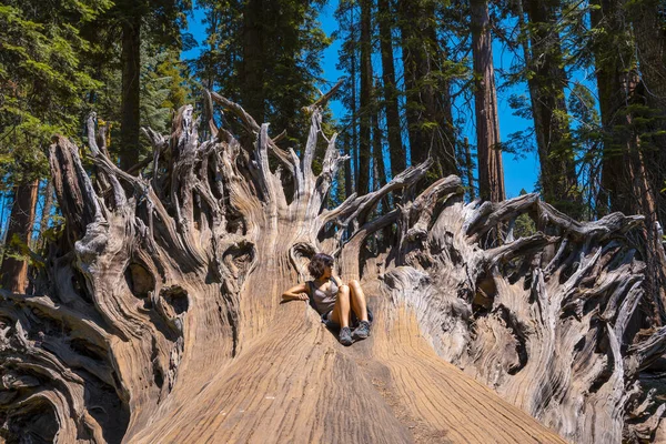 Žena Pózující Velkém Kmeni Stromu Národním Parku Sequoia Krásné Sekvoje — Stock fotografie