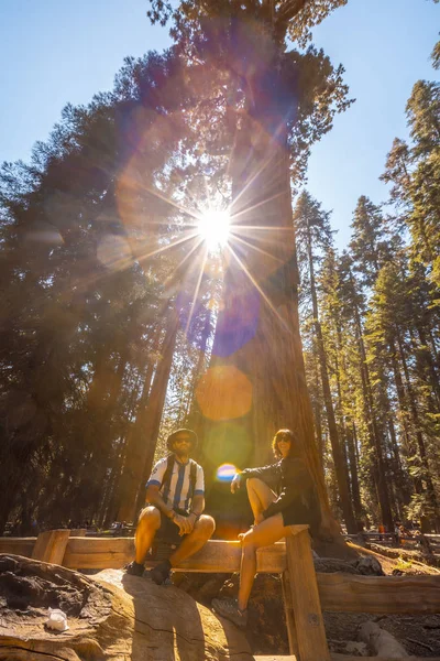 Man Och Kvinna Poserar Nära Stor Trädstam Sequoia National Park — Stockfoto