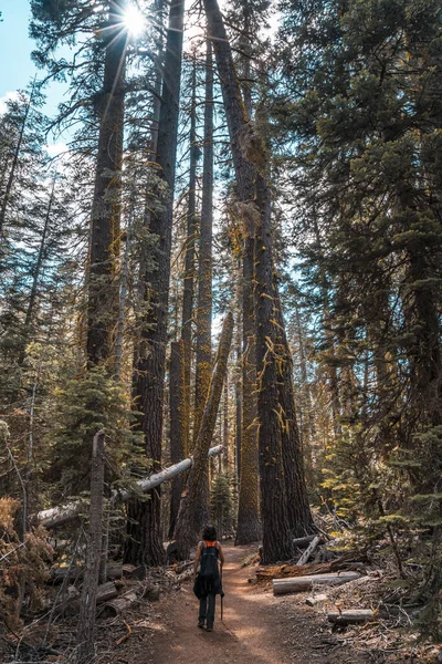 Žena Trekking Yosemite National Park California Spojené Státy — Stock fotografie
