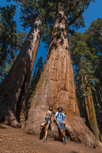 Muž Žena Pózující Poblíž Velkého Kmene Stromu Národním Parku Sequoia — Stock fotografie