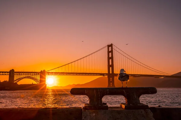 Goldene Torbrücke San Francisco — Stockfoto