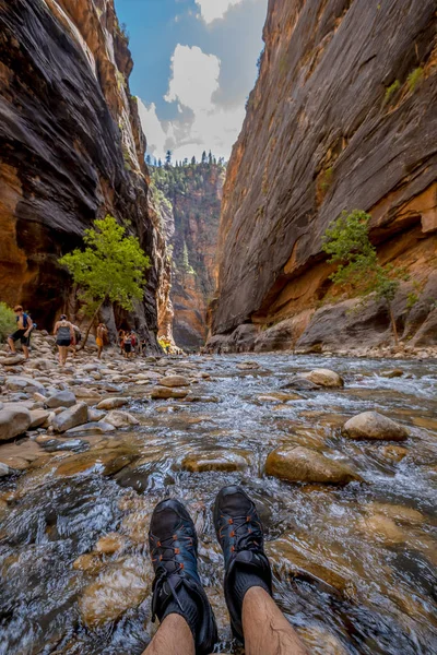 Incrível Vista Córrego Das Rochas Parque Nacional Zion Utah Estados — Fotografia de Stock