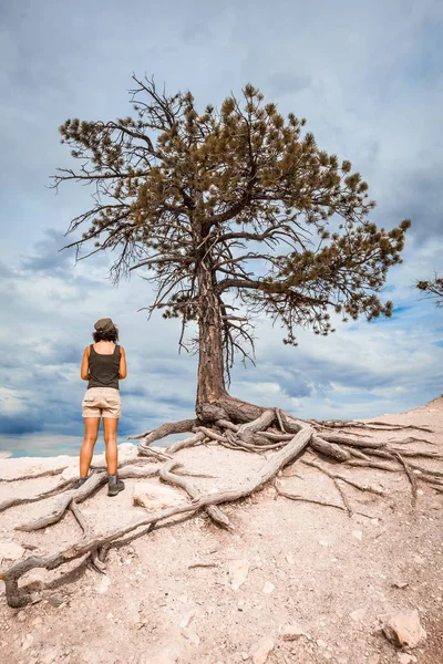 Frau Genießt Die Atemberaubende Aussicht Auf Den Bryce Nationalpark Utah — Stockfoto