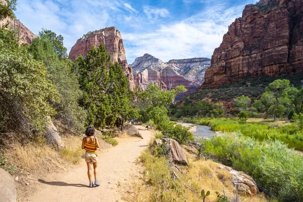 Woman Looking Rocks Zion National Park Utah Estados Unidos — Fotografia de Stock