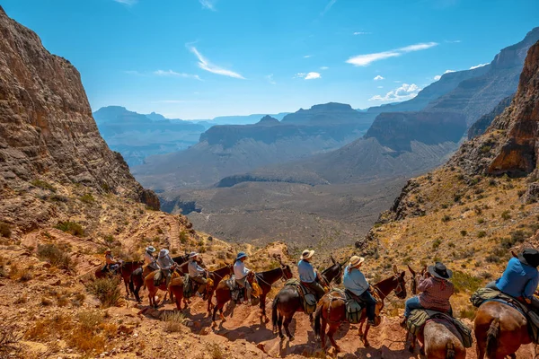 Horsemen Mirando Paisaje Rocoso Del Parque Nacional Del Gran Cañón — Foto de Stock