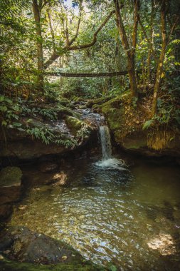 Cerro Azul Meambar Ulusal Parkı Şelalesi (Panacam), Yojoa Gölü, Honduras