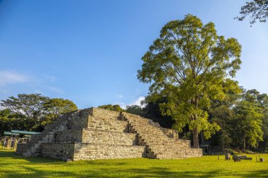Copan Harabeleri 'ndeki Maya Piramidi, Honduras