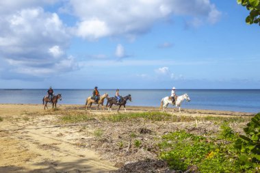 Roatan, Honduras - Ocak 2020: Halat sahili, Roatan, Honduras, Karayip denizi