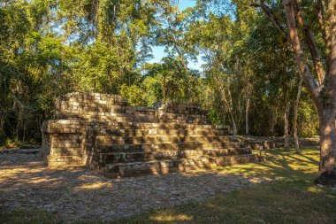 Copan Harabeleri 'ndeki Maya Piramidi, Honduras
