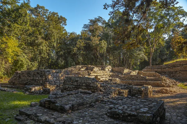 Pyramide Maya Dans Les Temples Copan Ruins Honduras — Photo