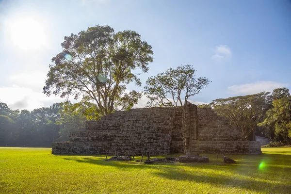 Mayojen Pyramidi Copan Rauniot Temppeleissä Honduras — kuvapankkivalokuva