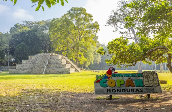 Piramida Majów Świątyniach Copan Ruins Honduras — Zdjęcie stockowe
