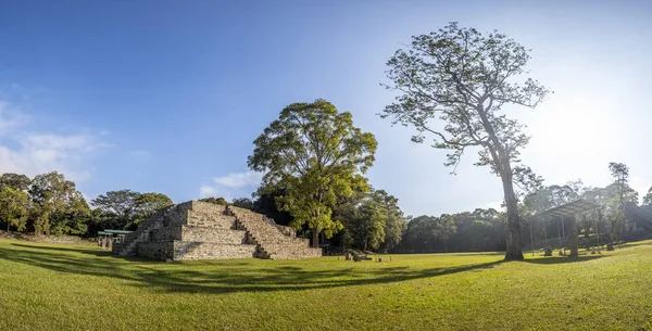 Pirâmide Maia Ruínas Copan Templos Honduras — Fotografia de Stock